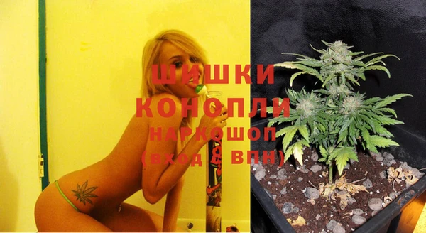 индика Верхнеуральск