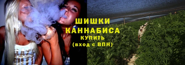 дживик Верея