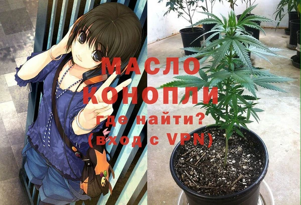 индика Верхнеуральск
